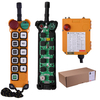 F24-10D Telecomando radio trasmettitore e ricevitore wireless a 24 volt per paranco e gru